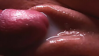 Satisfy Your Cravings With Young And Amateur Cumshots