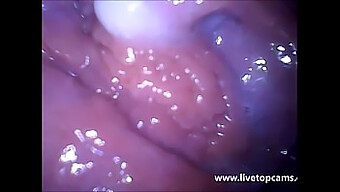 Weird And Extreme: Secretfriends.Com'S Vagina Close-Up Video Of Girl'S Orgasm