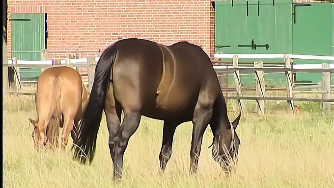 Giovane Tedesca Si Diverte Con Un Gioco Solitario All'Aperto