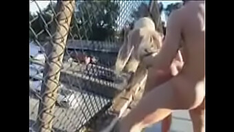 Outdoor Pussy Fucking With A Stunning Blonde