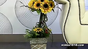 Milf Amadora Coreana Expõe Seus Atributos Em Gangnam