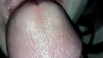 My Wife Gives Me Oral Sex! (2019)