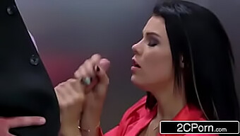 Peta Jensen Em Zzs - Sedução Sensual