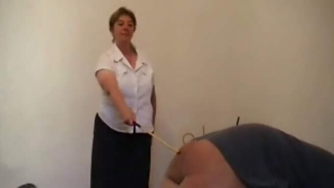 Milf-Kvinner I Hardcore Caning Action